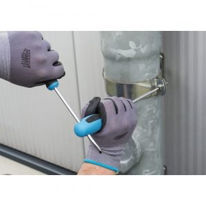 Hazet 810/6 PZ 6-τεμ. κατσαβίδια σετ