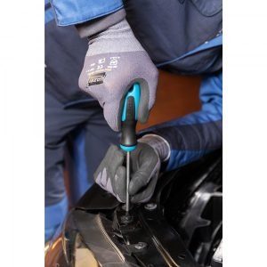 Κατσαβίδια TORX σετ 6 τεμ. Hazet 810T/6