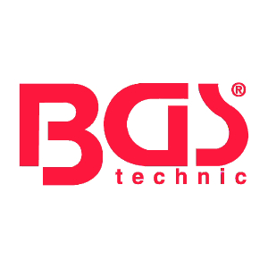BGS logo