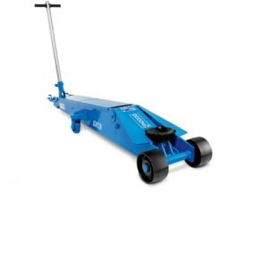 Γρύλοι-Στρίποδα