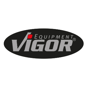 vigor logo