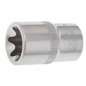 Καρυδάκι V2197